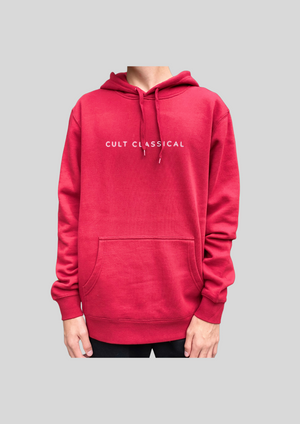 Unisex fleece hoodie in Cardinal